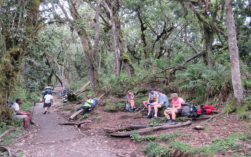 Best Time to Climb Mount Kilimanjaro