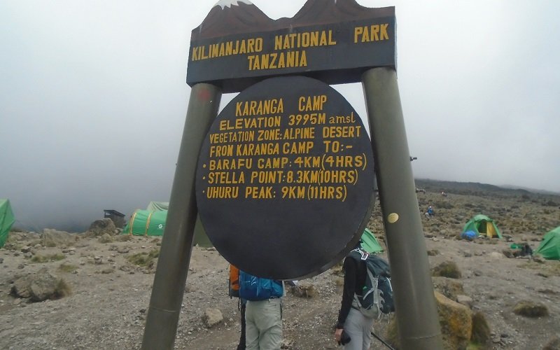 Lemosho Route 8 Days – Kilimanjaro 